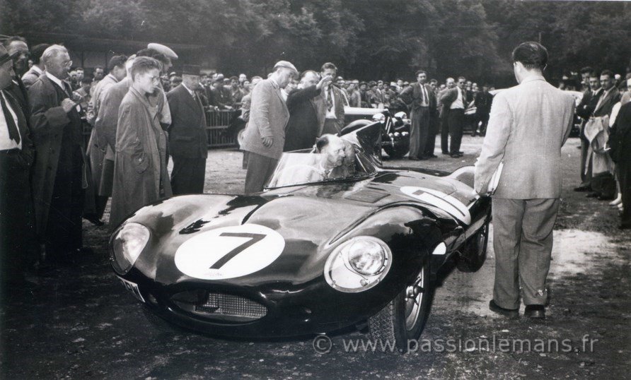 Jaguar_D_1955