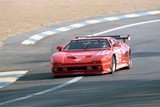 le mans 1994 De Tomaso Pantera N°37