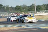 24h du mans 1997 Ford Saleen Mustang N°66