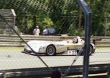 Panoz N°22