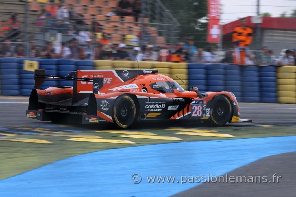 YACAMAN / DERANI / GONZALEZ