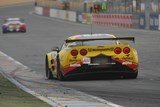 24h du mans 2011 Corvette 50